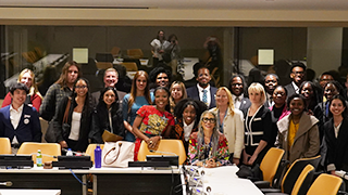 group of scholars at UN